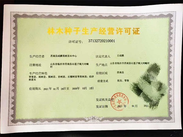 林木種子生產(chǎn)經(jīng)營(yíng)許可證