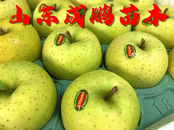 王林蘋(píng)果
