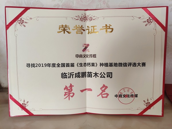 尋找2019年全國(guó)首屆《生態(tài)鈣果》種植基地微信評(píng)