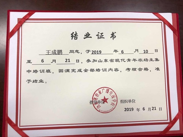 山東省現(xiàn)代青年農(nóng)場(chǎng)主結(jié)業(yè)證書